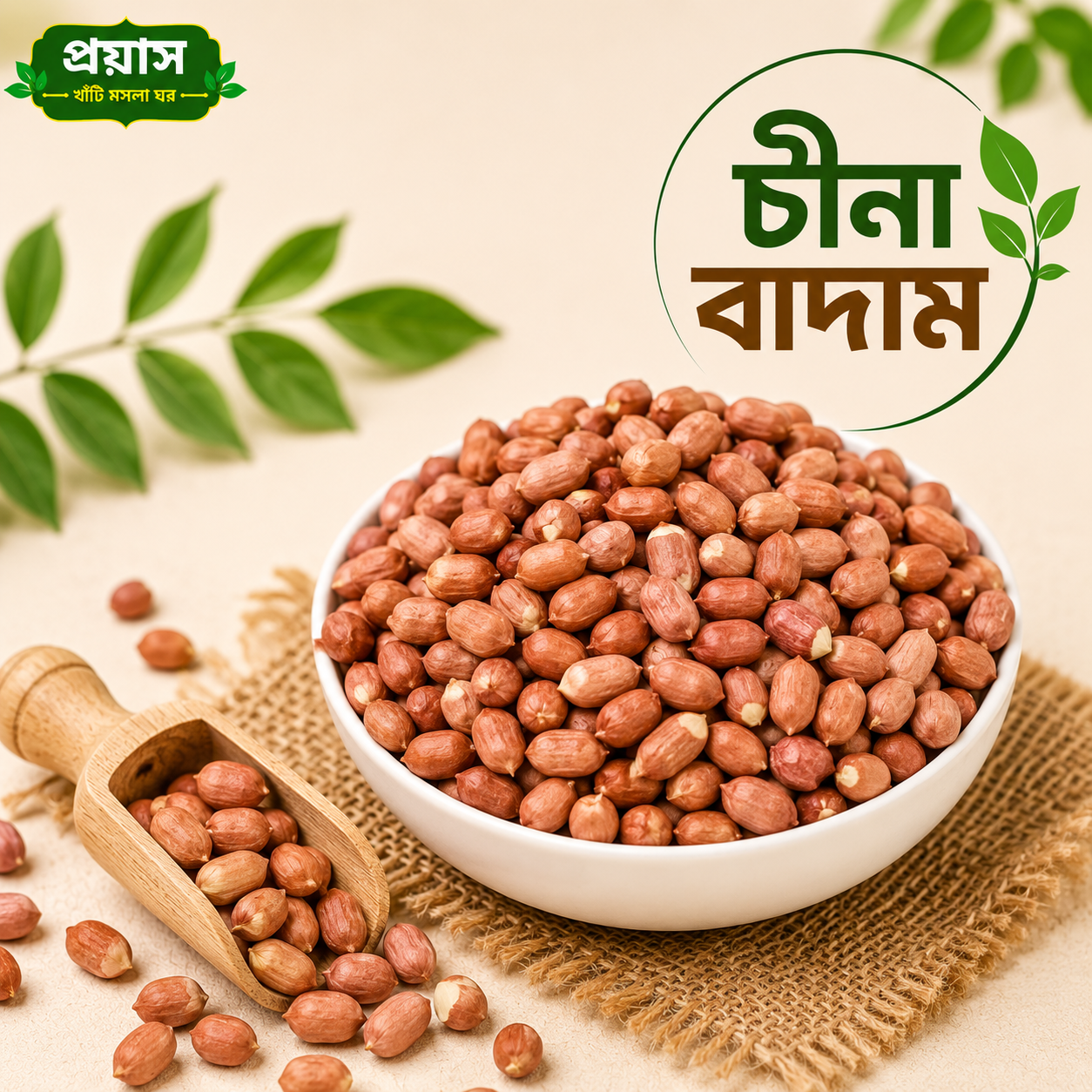 ফ্রেশ চিনা বাদাম