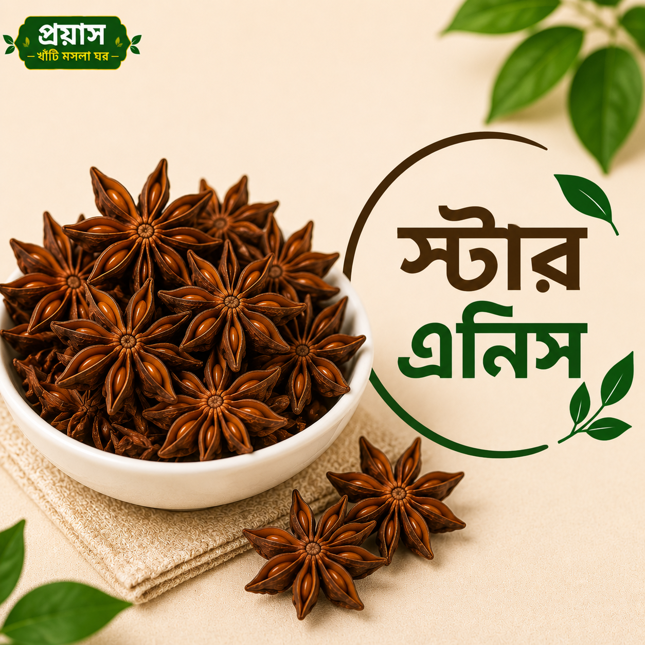 স্টার এনিস