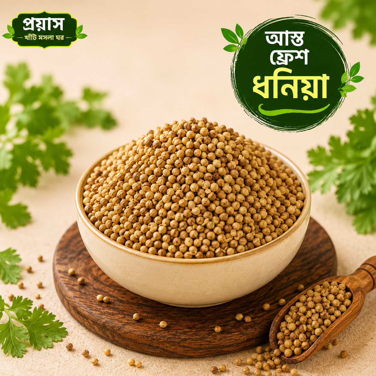 ধনিয়া (ধোয়া এবং শুঁকনো)